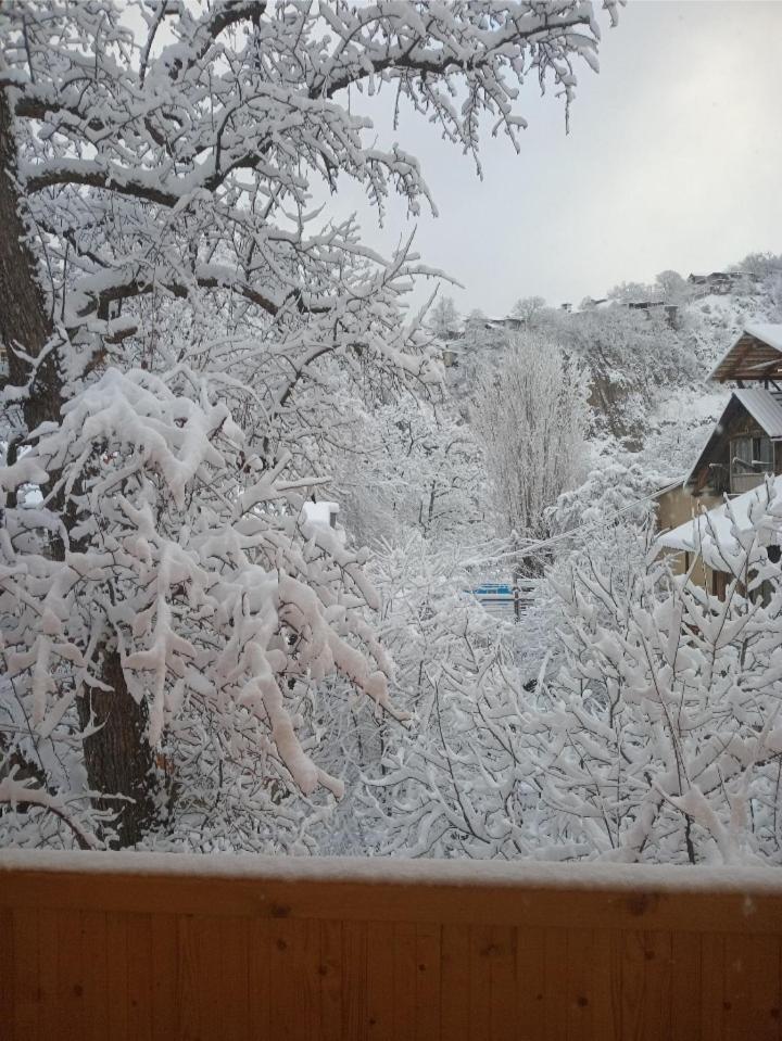 Villa Green Garden Borjomi Exterior photo